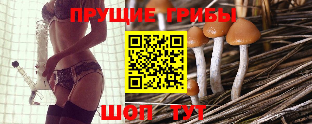 Галлюциногенные грибы Psilocybine cubensis  Галлюциногенные грибы мицелий  Светлоград  Вход с VPN 